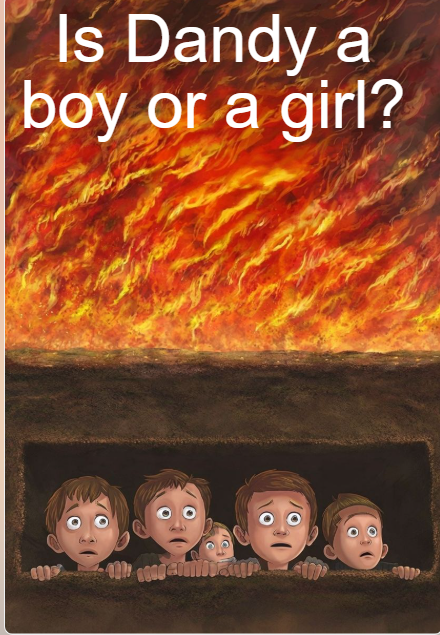 roblox , Minecraft games, dolls , everything you want to know about toys and games plus much more Is Dandy a boy or a girl? | Proven Answers + 5 Facts You Must Know