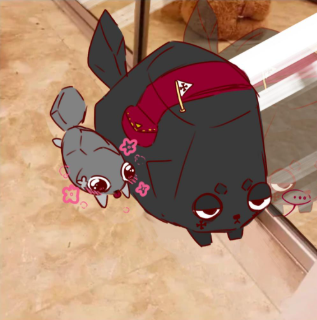 Is coal a girl dandys world?