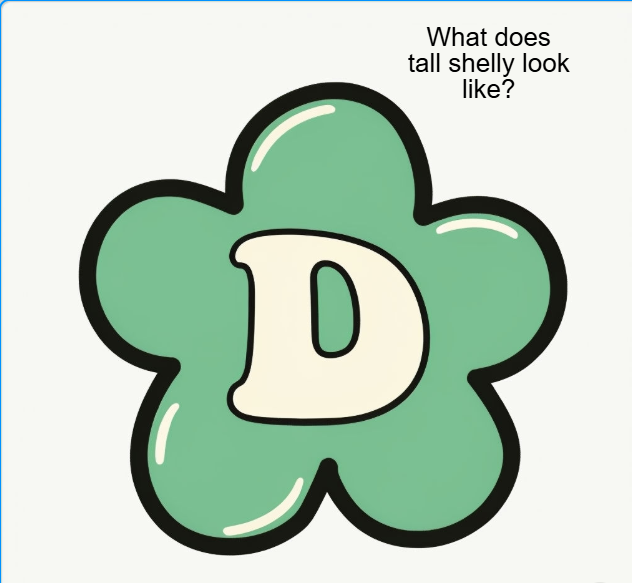 What does tall shelly look like? Best Facts Comparison